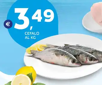 Extra Supermercati Cefalo offerta