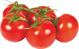 MD Discount POMODORO RAMATO offerta