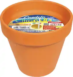 MD Discount CANDELA IN VASO DI TERRACOTTA offerta