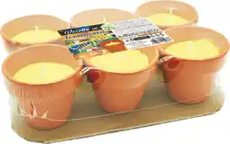 MD Discount 6 CANDELE IN VASETTO offerta