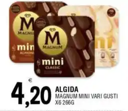 Al Discount Algida magnum mini vari gusti offerta