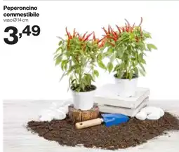 In'S Mercato Peperoncino commestibile offerta