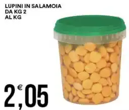 Vantaggio Cash&Carry Lupini in salamoia offerta