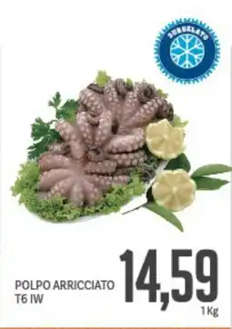 Supermercati Piccolo POLPO ARRICCIATO T6 IW offerta