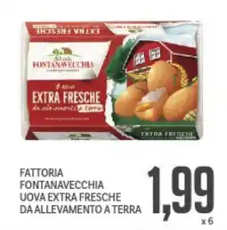 Supermercati Piccolo Fattoria fontanavecchia uova extra fresche da allevamento a terra offerta