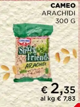 Coop CAMEO ARACHIDI 300 G offerta