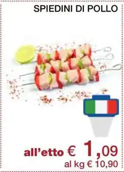 Coop SPIEDINI DI POLLO offerta