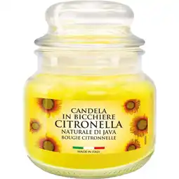 Ipercoop ASSORTIMENTO GIARE E BICCHIERI CITRONELLA offerta