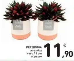 Spazio Conad Peperomia ceramica vaso al pezzo offerta
