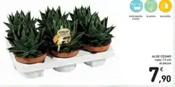 Spazio Conad Aloe cosmo vaso al pezzo offerta
