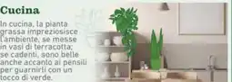 Spazio Conad Cucina offerta