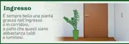 Ingresso