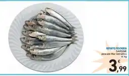 Reparto pescheria sardine pescate mar adriatico al kg