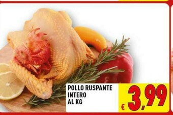 Iper Triscount Pollo offerta