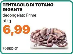 Tentacolo di totano gigante