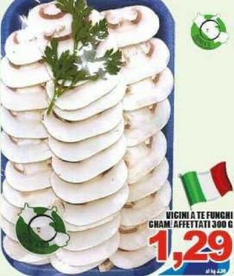 Sacoph Funghi champignon offerta