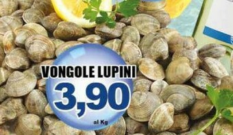 Sacoph Vongole offerta