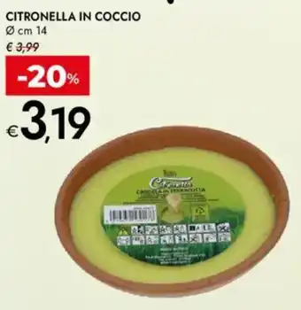 Bennet Citronella in coccio offerta