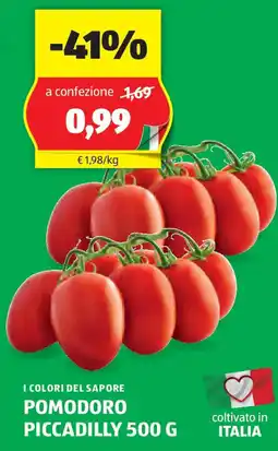 ALDI I colori del sapore pomodoro piccadilly offerta