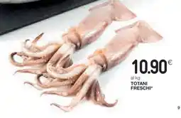Coop Totani Freschi offerta