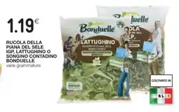 Coop Rucola della Piana del Sele IGP, Lattughino o Songino Contadino Bonduelle offerta