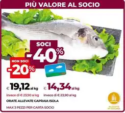 Coop ORATE ALLEVATE CAPRAIA ISOLA offerta