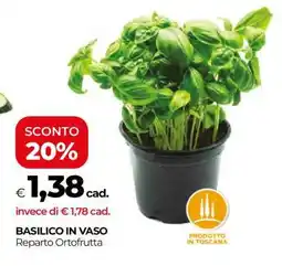 Coop BASILICO IN VASO offerta