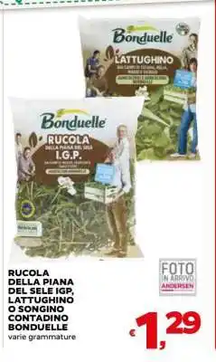 Coop Rucola della Piana del Sele IGP, Lattughino o Songino Contadino Bonduelle offerta