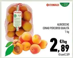 Conad City ALBICOCCHE CONAD PERCORSO QUALITÀ offerta