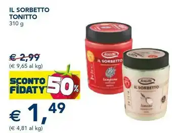 Esselunga Il sorbetto lampone 310 g(ml) offerta