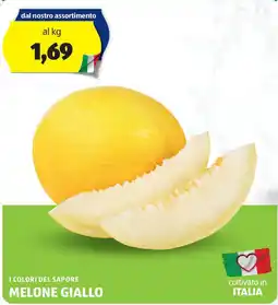 ALDI I colori del sapore melone giallo offerta