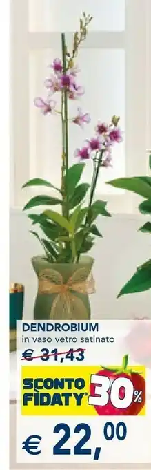 Esselunga Dendrobium in vaso vetro satinato offerta
