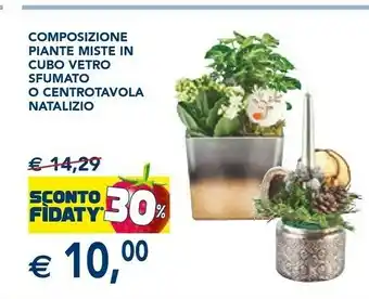 Esselunga Composizione piante miste in cubo vetro sfumato o centrotavola natalizio offerta