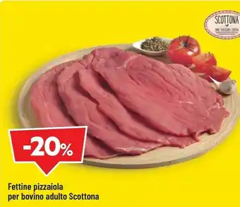 DPiù Scottona fettine pizzaiola per bovino adulto offerta