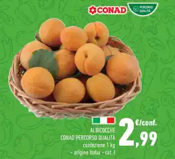 Conad Superstore Albicocche CONAD PERCORSO QUALITÀ offerta