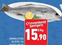 Conad Superstore Ombrina estera da oltre offerta