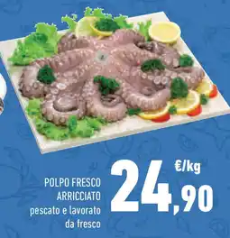 Conad Superstore Polpo fresco arricciato pescato e lavorato da fresco offerta