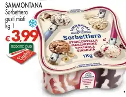 Despar SAMMONTANA Sorbettiera gusti misti offerta