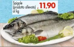 Despar Spigole offerta