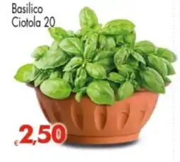 Despar Basilico Ciotola 20 offerta