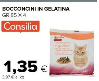 Bocconcini in gelatina