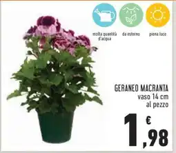 Conad GERANEO MACRANTA offerta