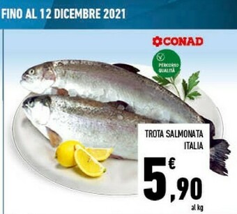 Conad Conad trota salmonata italia offerta