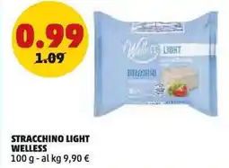 PENNY Stracchino light welless offerta