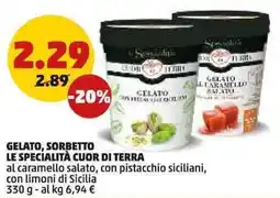 PENNY Gelato, sorbetto le specialità cuor di terra offerta
