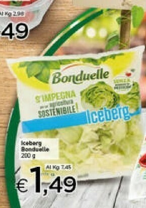 Crai Iceberg offerta