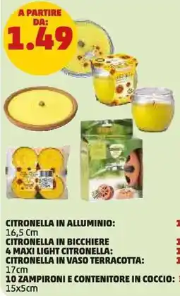 PENNY Citronella in vaso terracotta: offerta