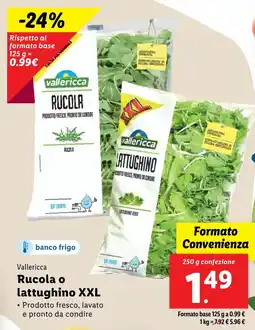 Lidl Vallericca Rucola o lattughino XXL offerta