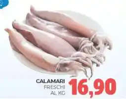 Eté Calamari freschi offerta