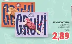 Eté Sammontana gruvi x4 vari gusti offerta